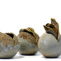 David Clifton art - Seed pod trio