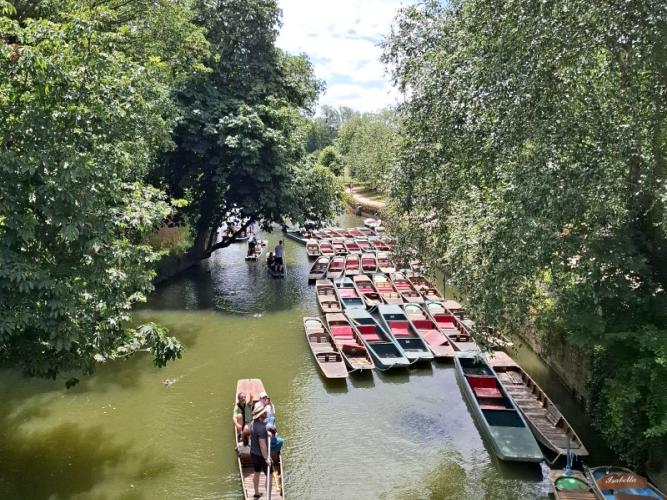 rsw punting resized
