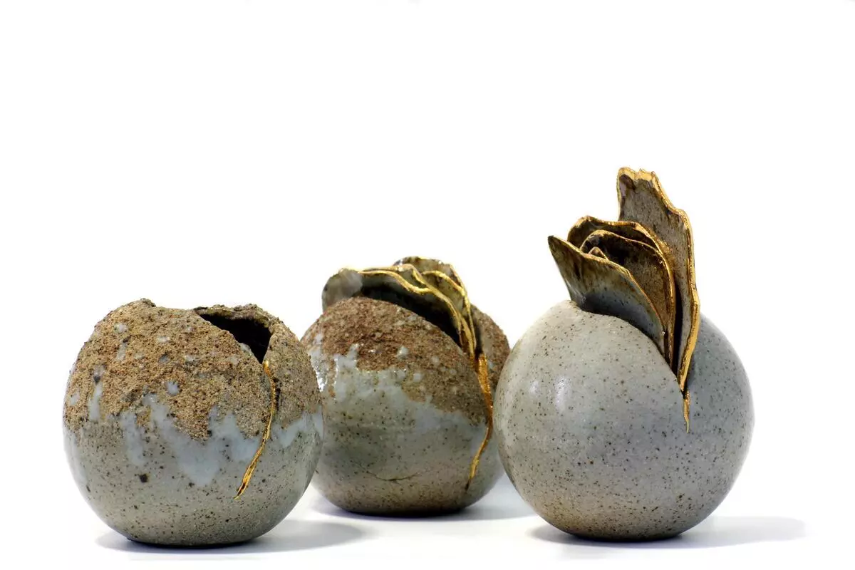 david clifton  seed pod trio