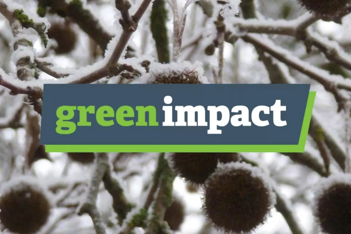 Green Impact